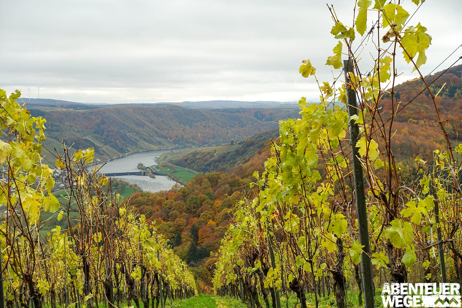 Aussicht auf dem Moselsteig