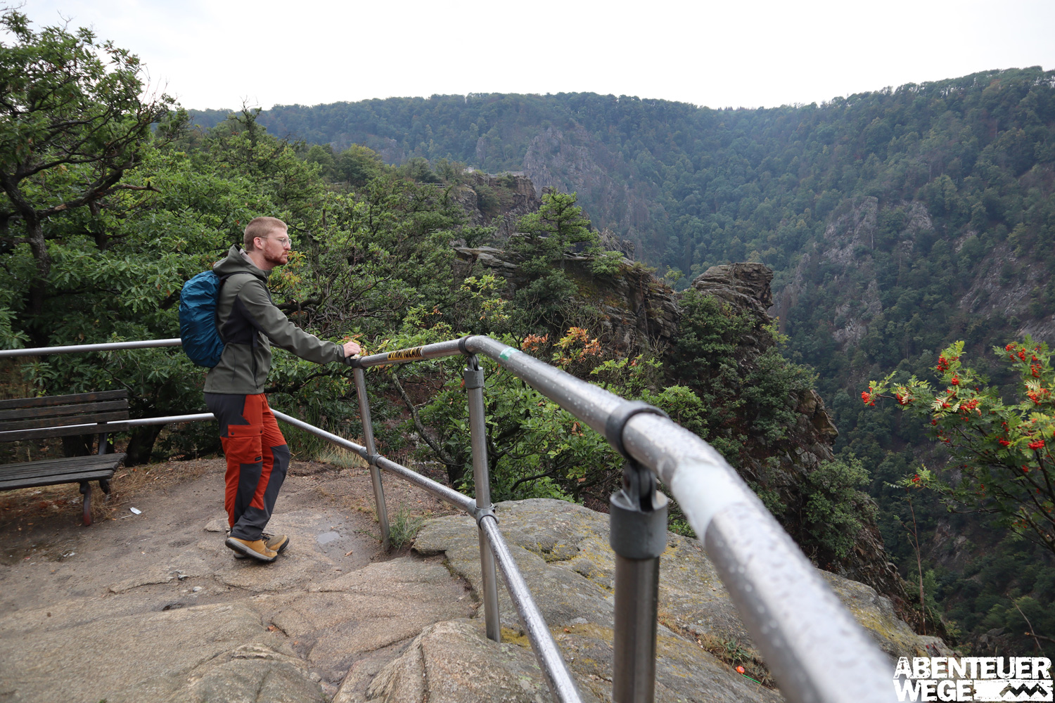 Einblick in die Schlucht von der Rosstrappe