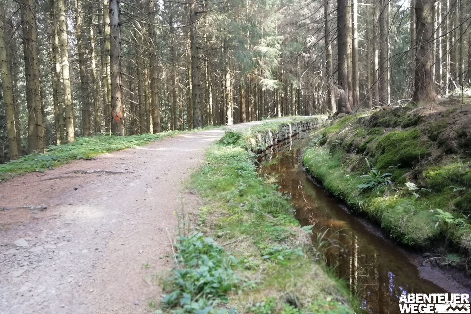 Wasserlauf im Harz