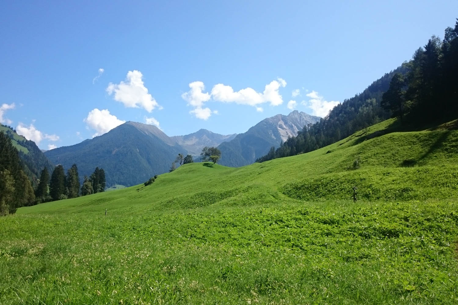 Ausblick in die Alpen