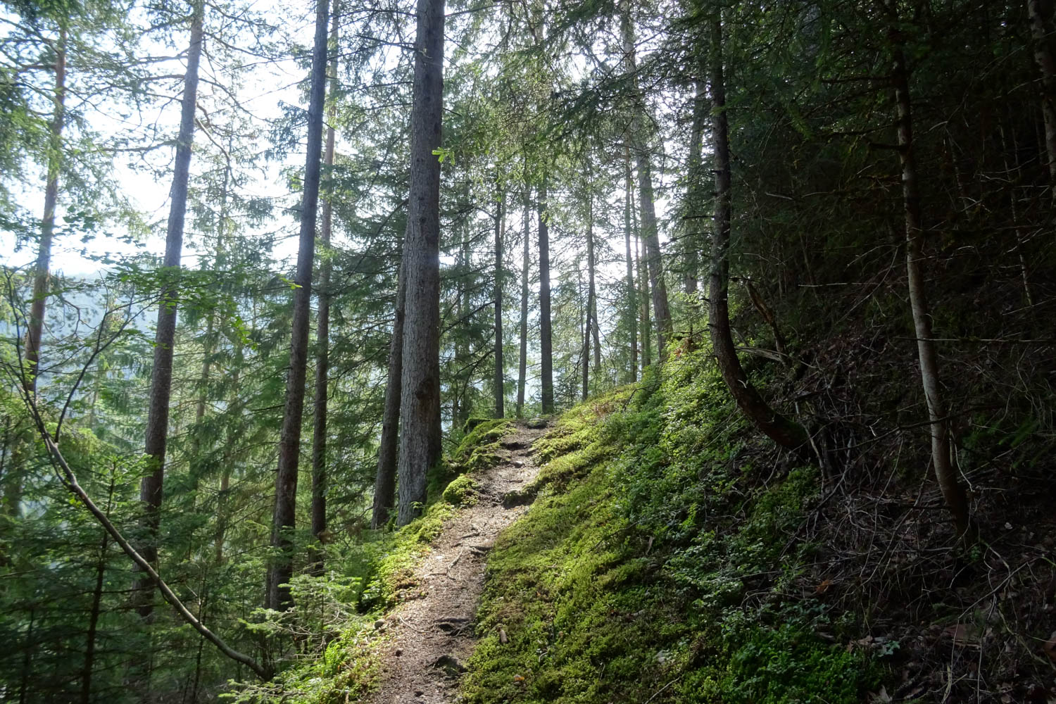 Ausgesetzter Pfad auf der Wanderung