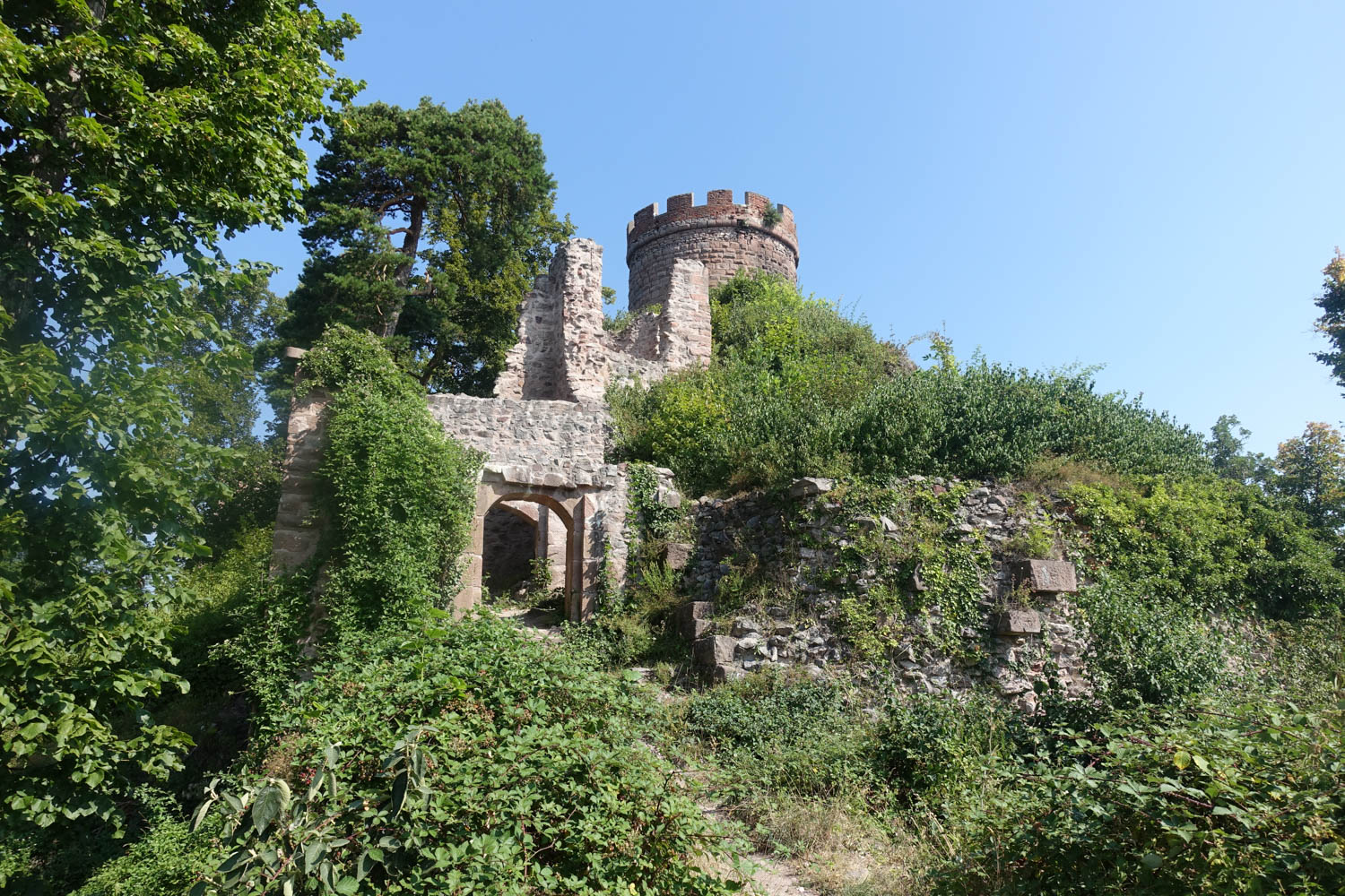 Chateau du Haut-Ribeaupierre
