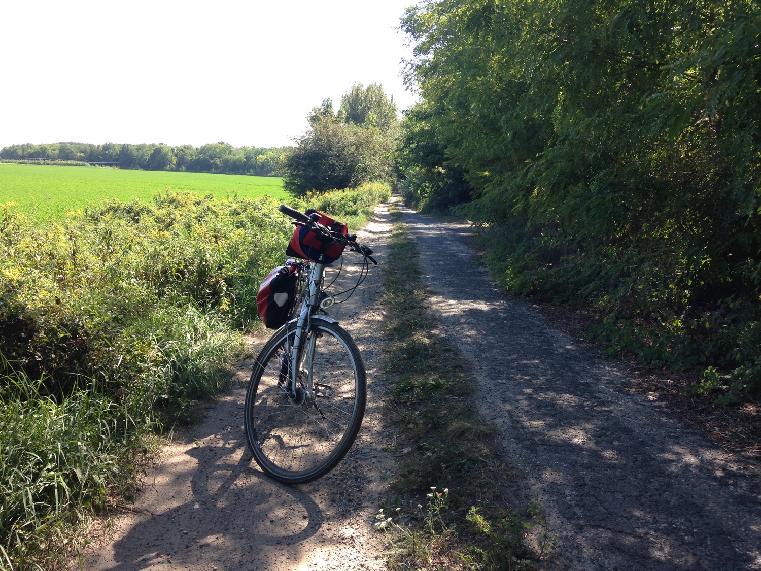 Leichtes Rennrad oder Mountainbike?