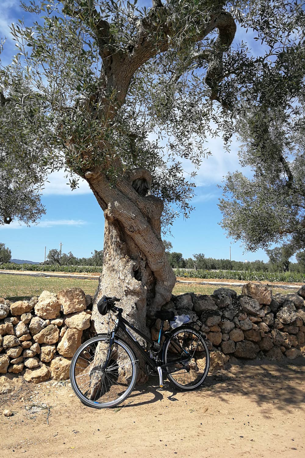 Genug Pausen einplanen bei heißem Wetter