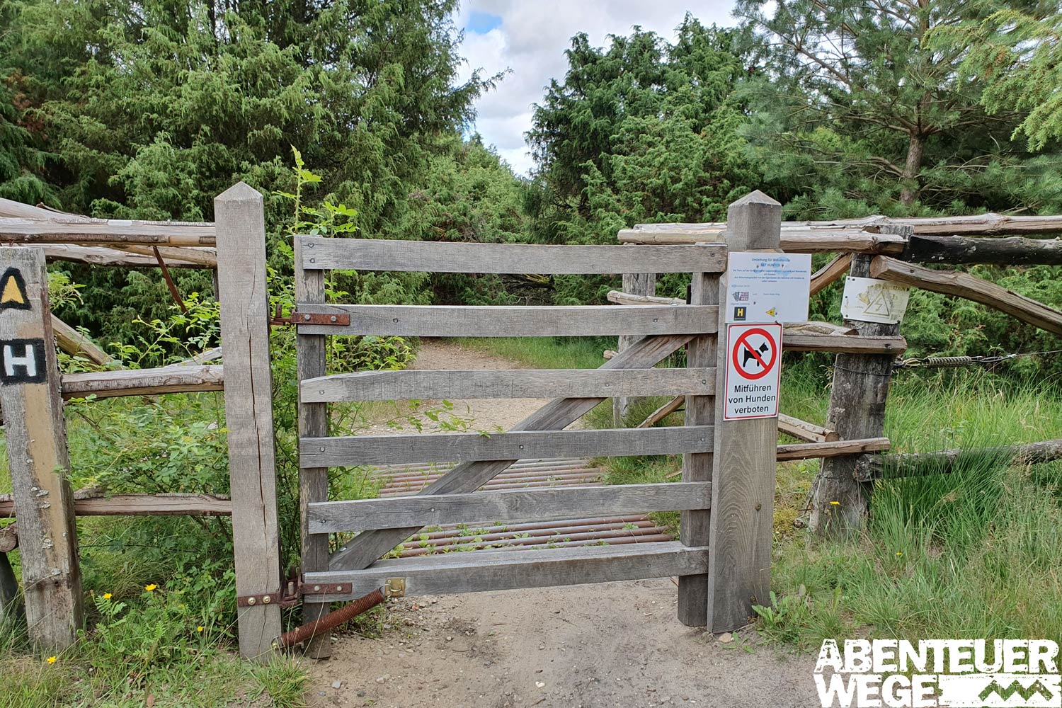 Regeln für Hunde auf dem Weg