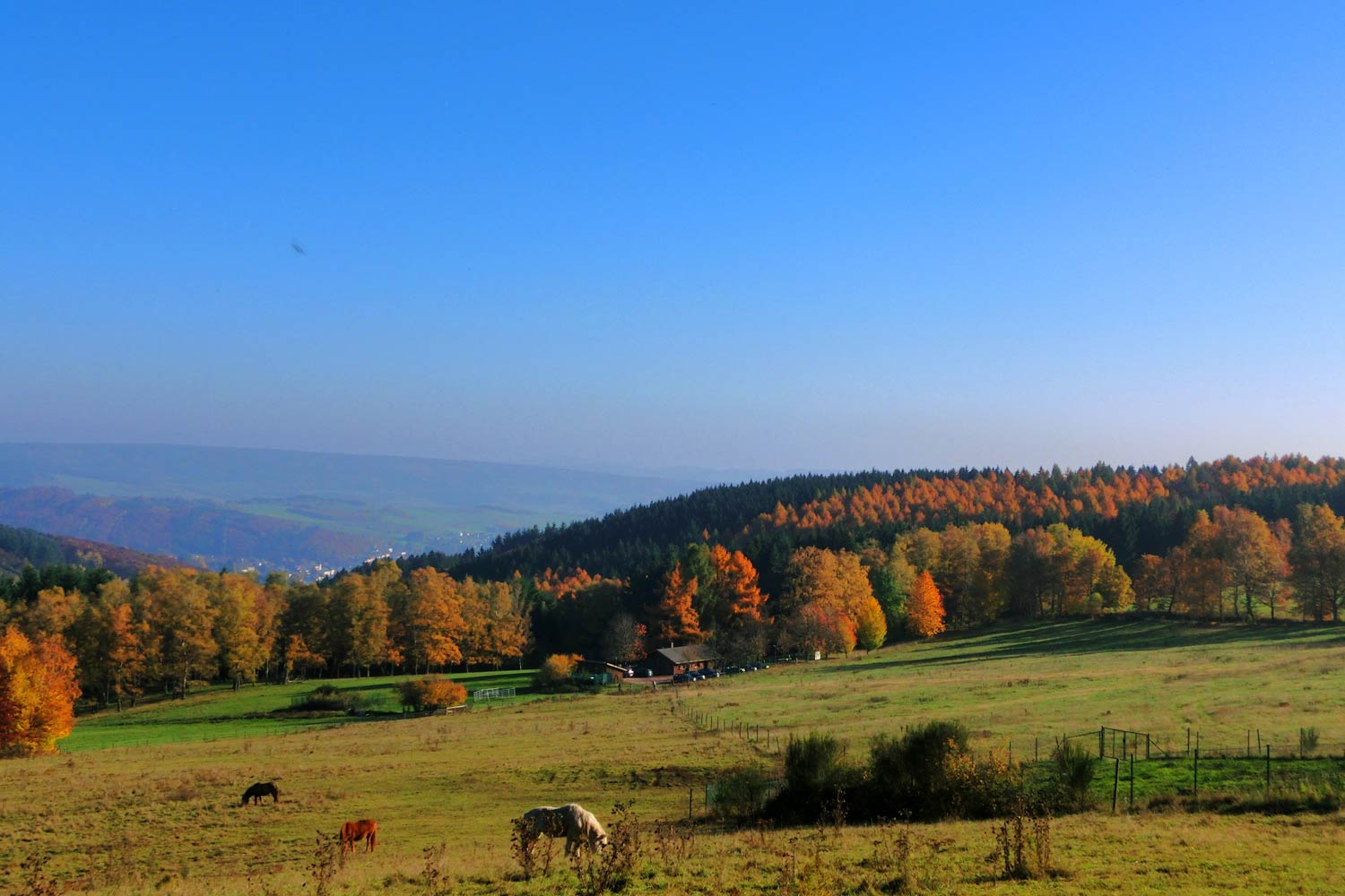 Der Saar-Hunsrück-Steig