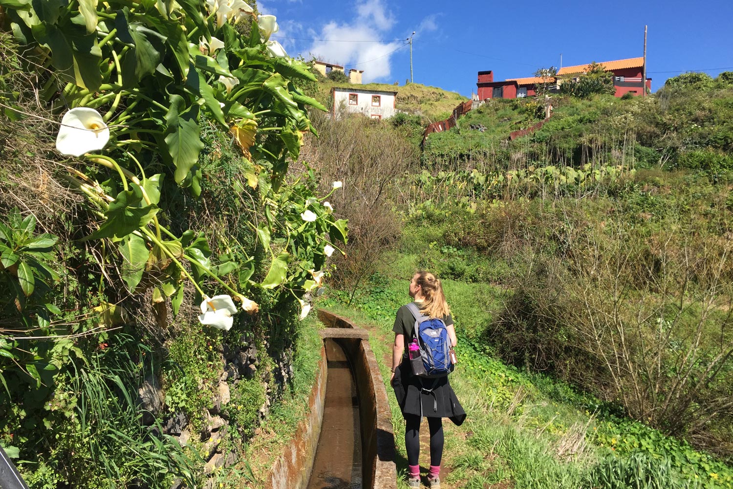 Wanderin auf Madeira
