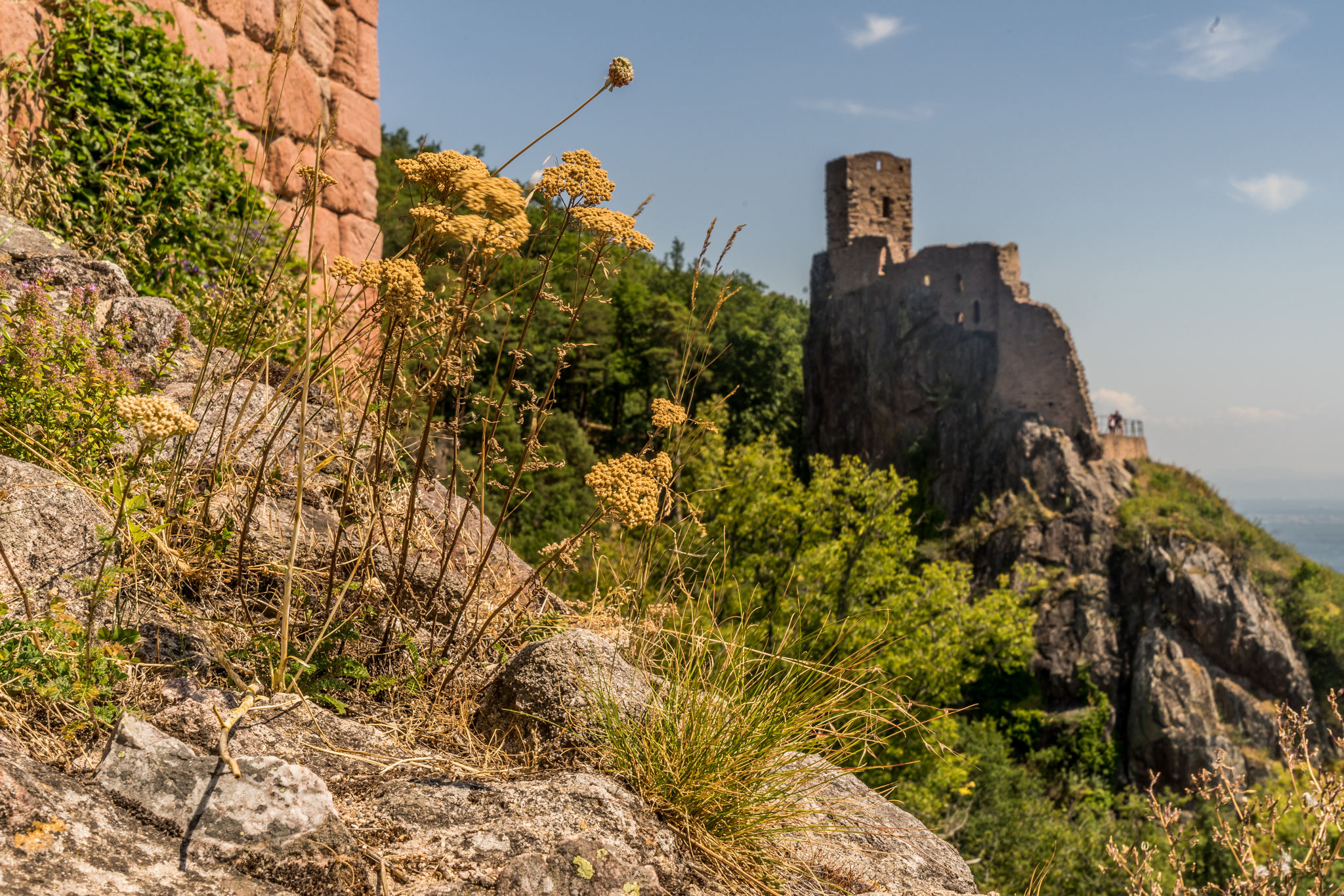 Chateau von Girsberg