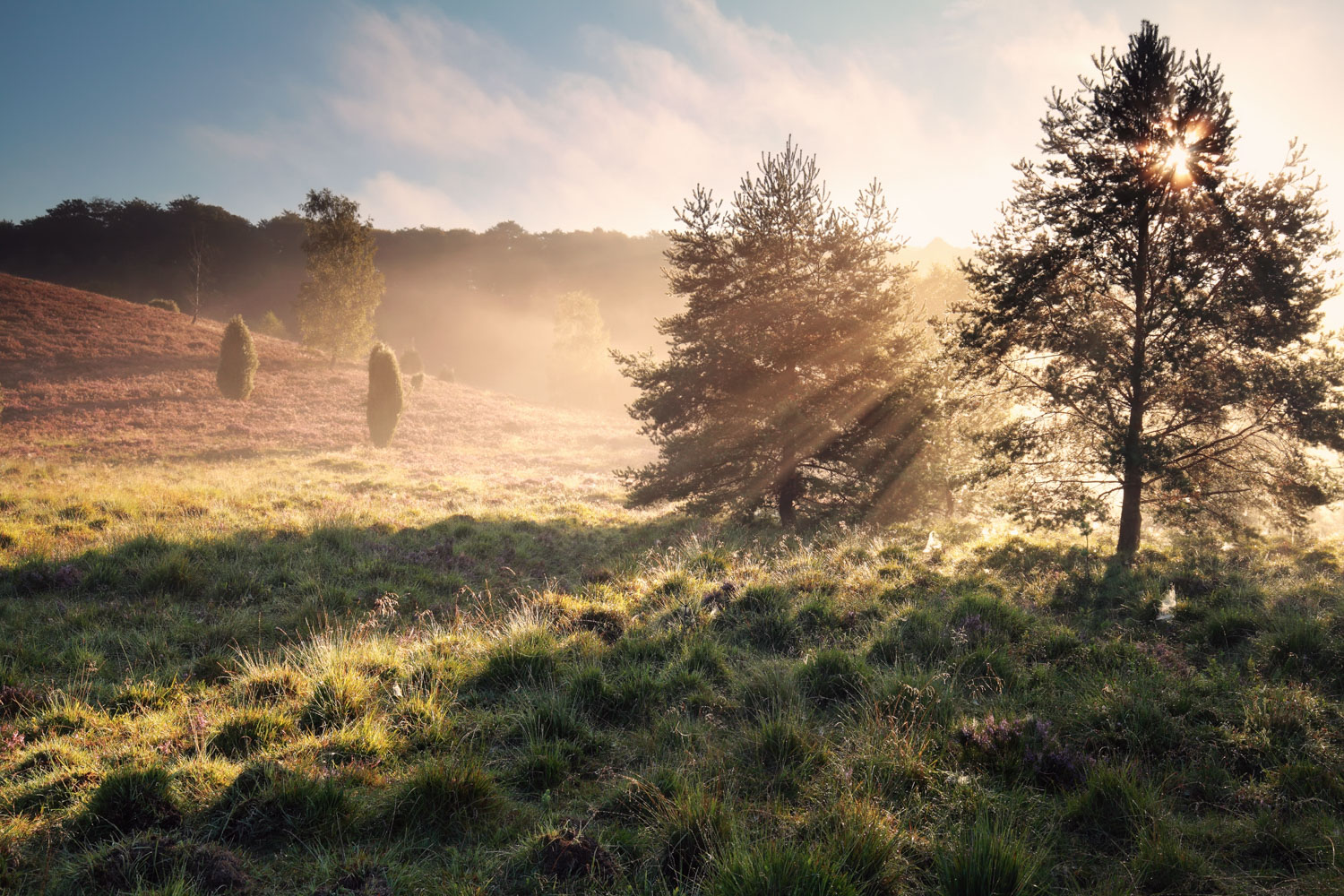 Mystik auf dem Heidschnuckenweg
