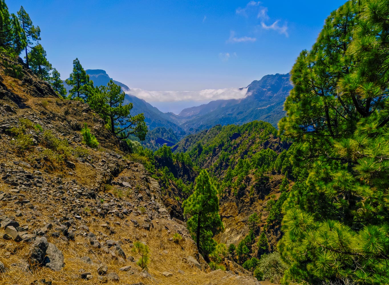 Taburiente Nationalpark auf La Palma