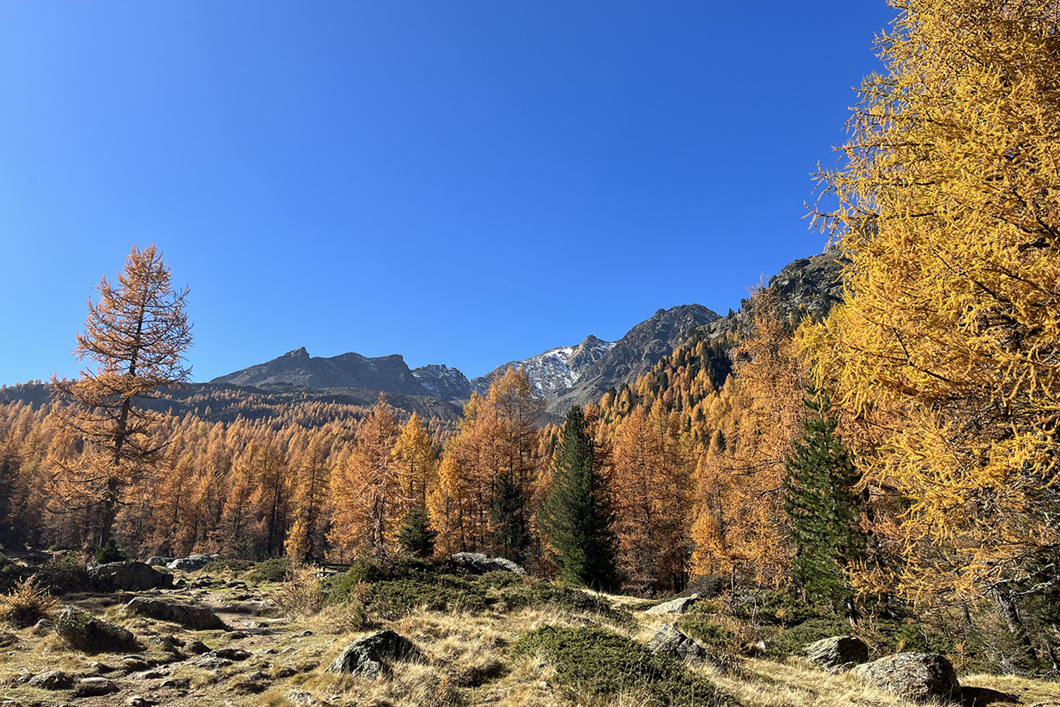 Herbst am Stilfser Joch