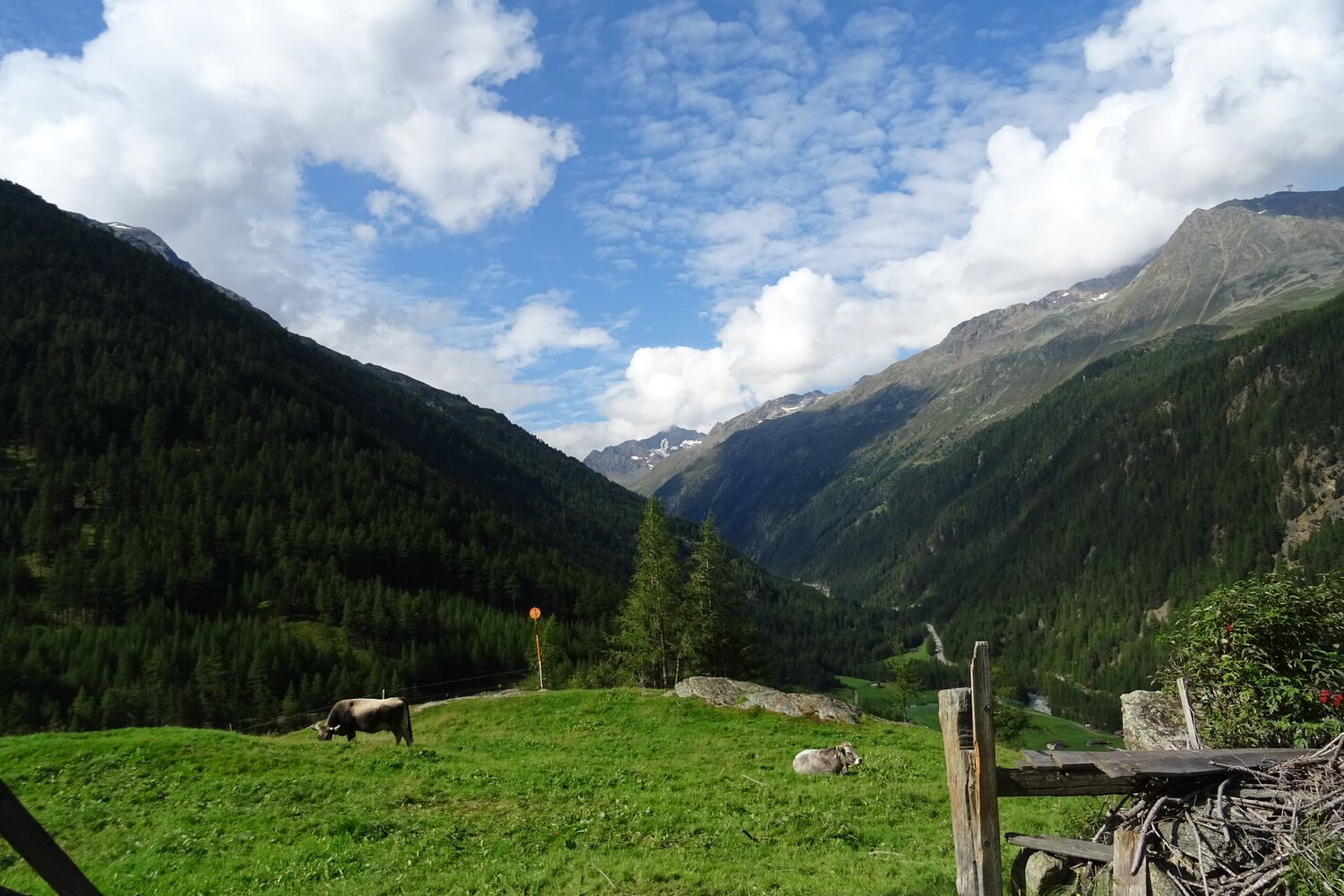 Über die Alpen