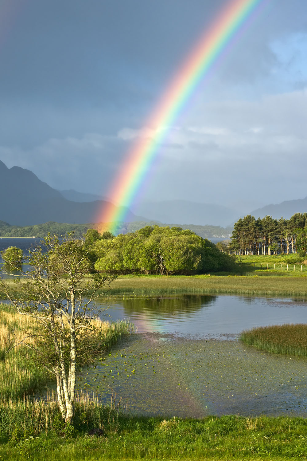 Regenbogen bei Killarney